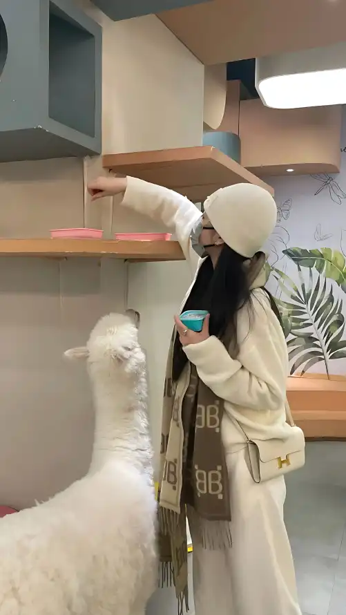 欧美巨大xxxx做受_国内精品视这里只有精品_国产高清在线观看AV片